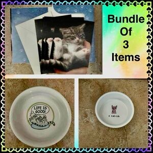 Cat 🐈 loves note cards